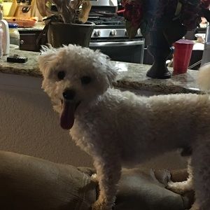 Meet your Posher, Alison